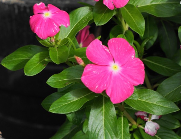 image dsc00565-2.jpeg